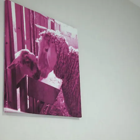 Kuhn Gbr - Whg 4 - Nedden Apartamento Heiligenhafen